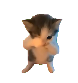 The scuba cat doing a happy little dance